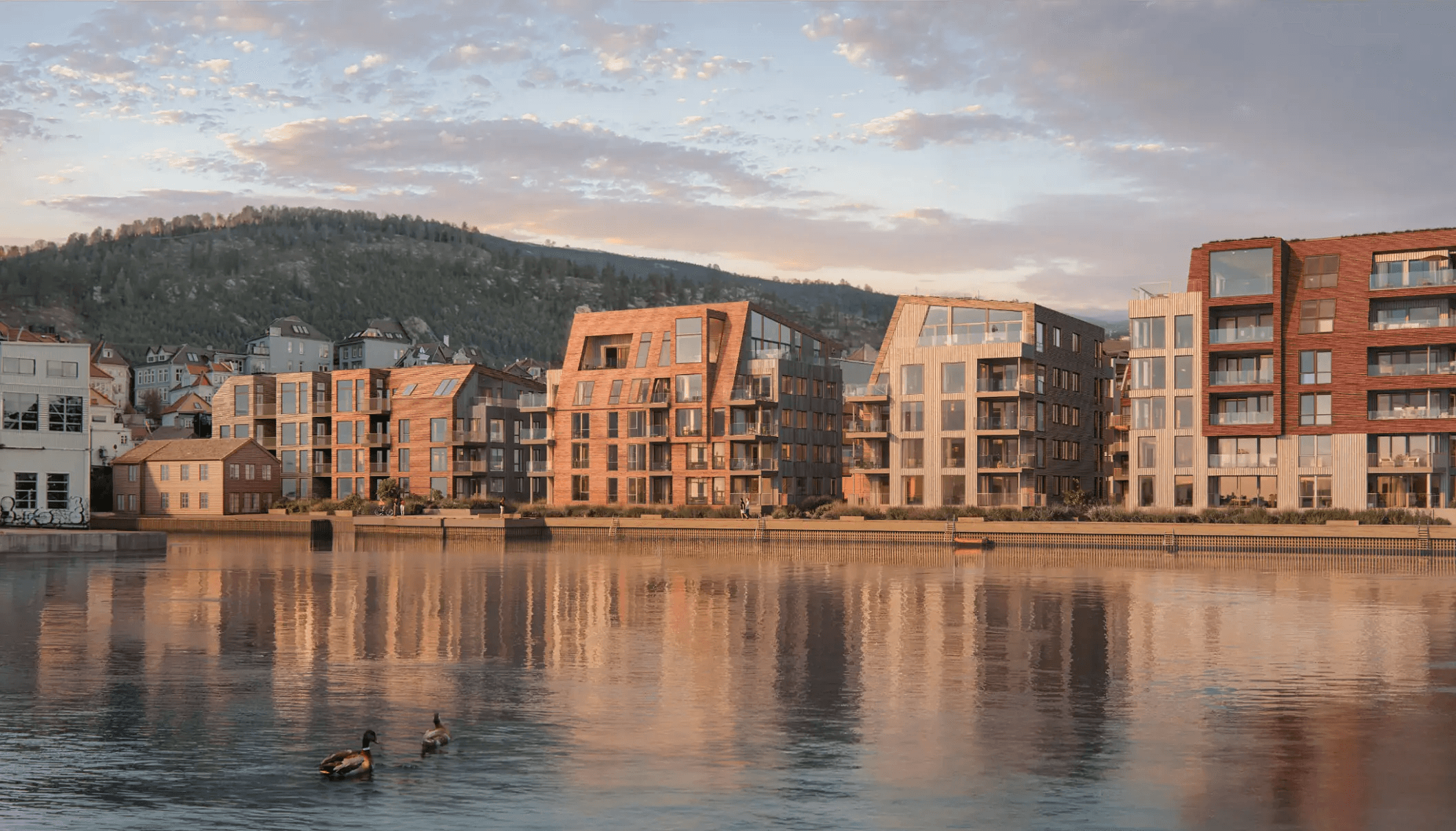Stor rift om dyre boliger ved sjøkanten